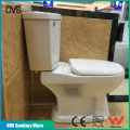 Porcelain Bathroom Ware Toilet Ceramics Sanitary Ware Price